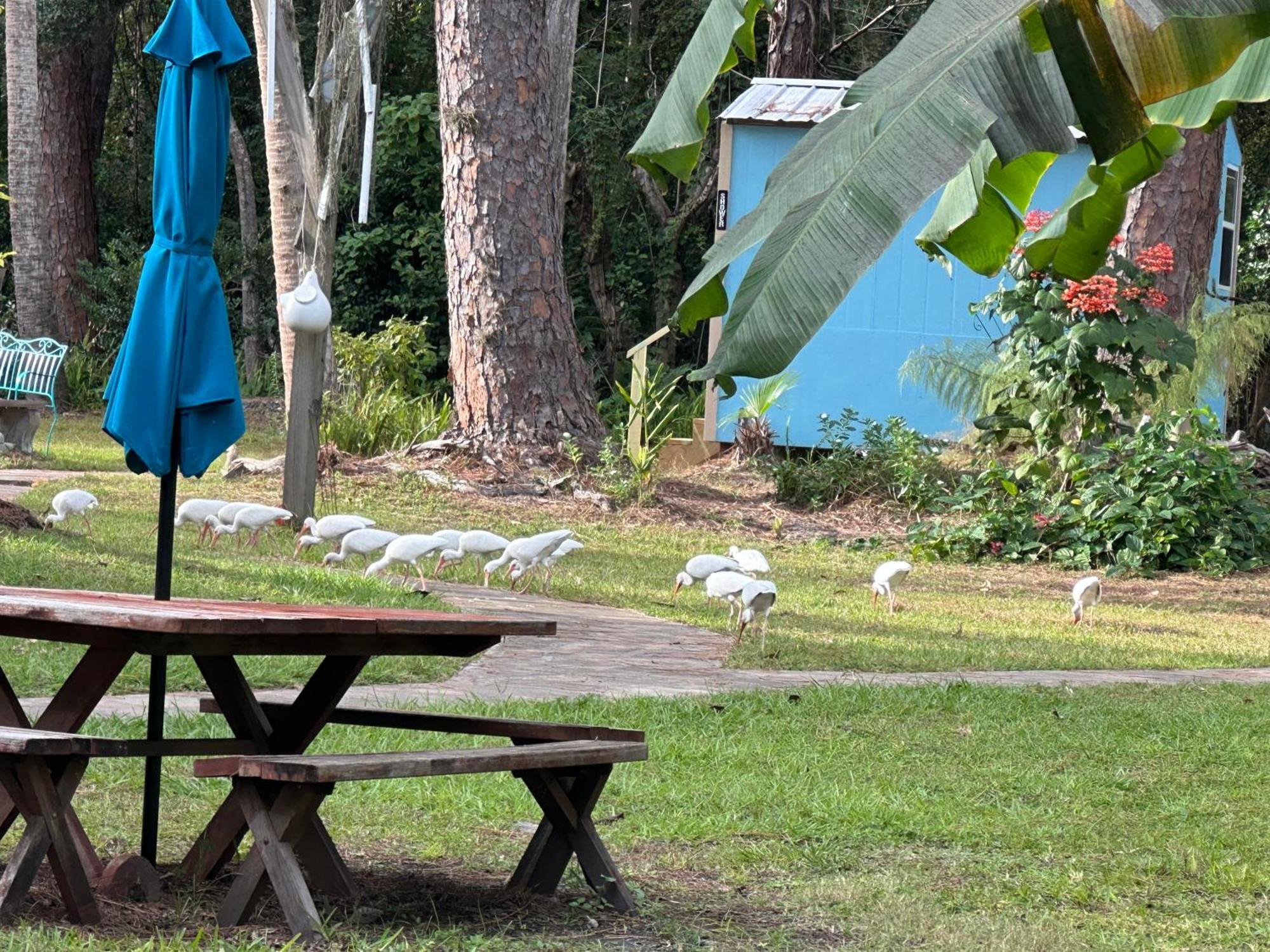 Nature Coast Inn & Cottages Inglis Экстерьер фото